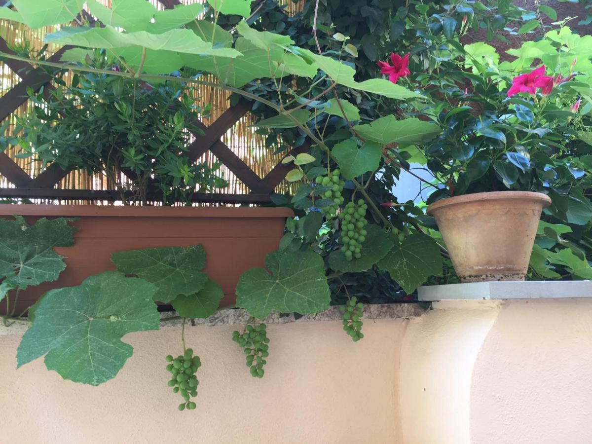 Testaccio Historic House Rom Exterior foto